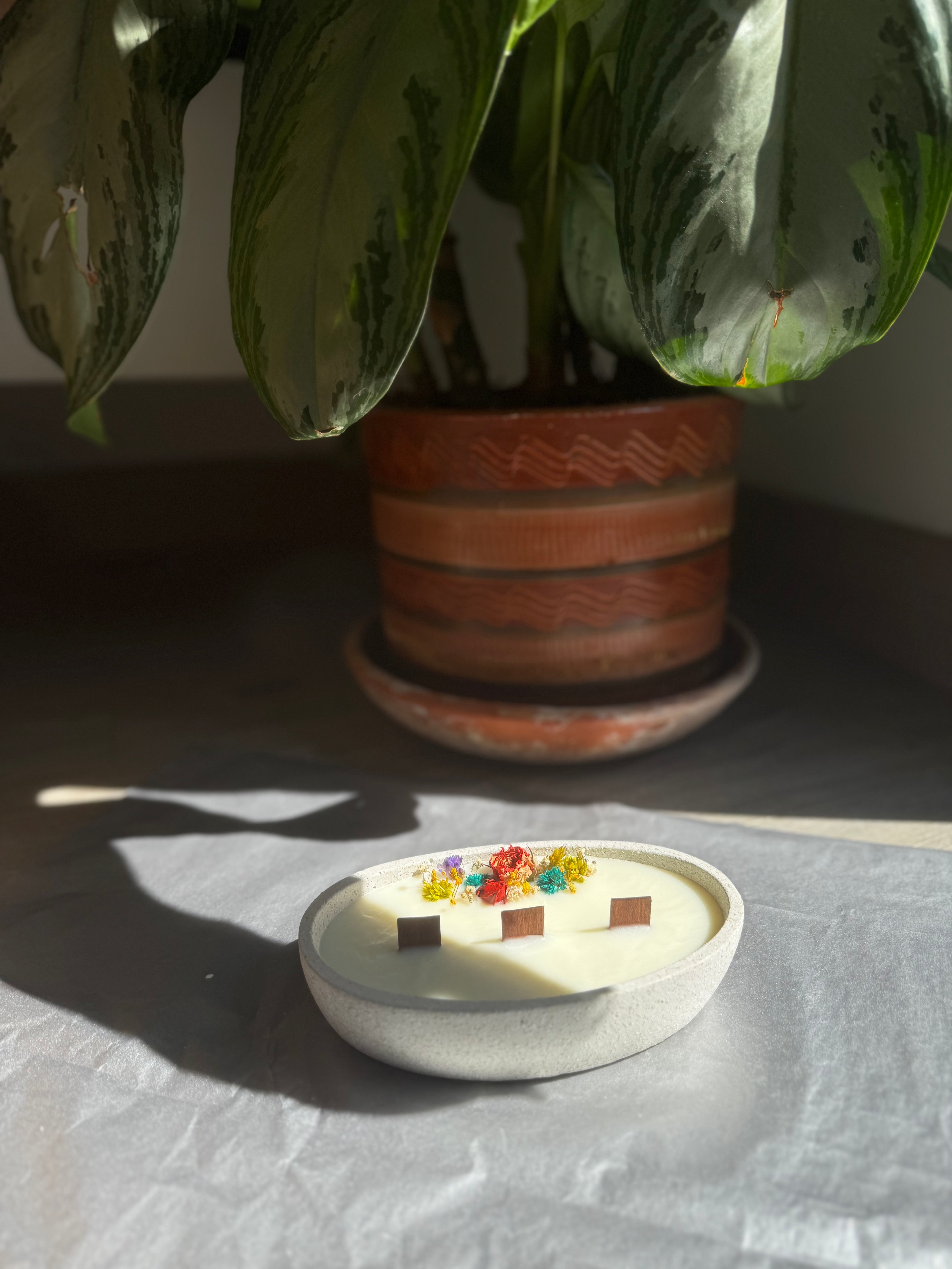 Jardín Preservado Ovalado