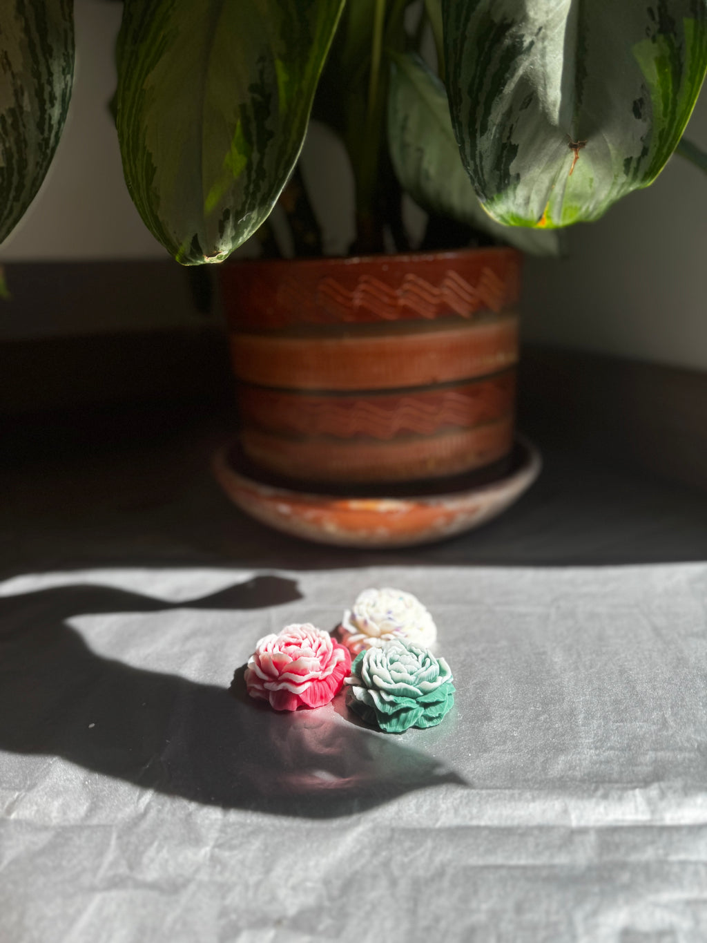 Combo Wax Melts Rosas+ Pebetero + Velas Pebetero